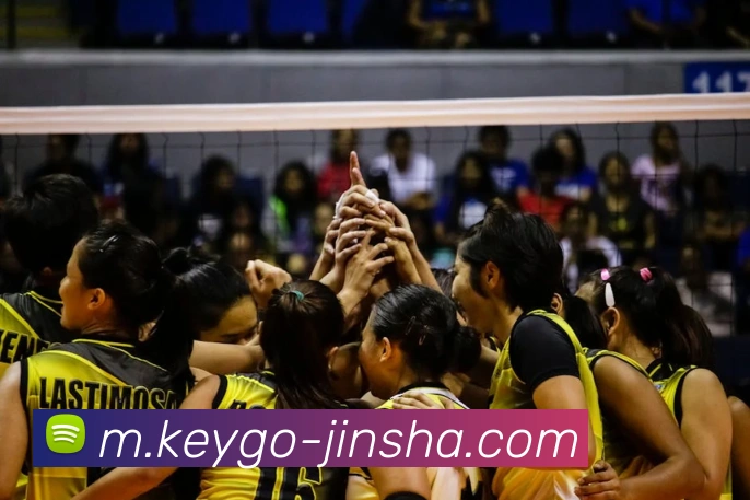 金沙娱乐平台生态图